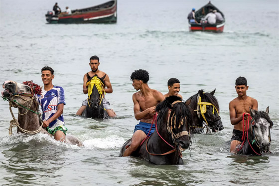 بالصور: فرسان الفنتازيا المغربية في مياه المحيط الأطلسي صورة رقم 6