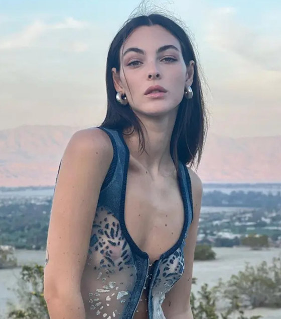 فيديو وصور تفضح علاقة النجم ليوناردو دي كابريو وعارضة الأزياء فيتوريا شيريتي صورة رقم 10