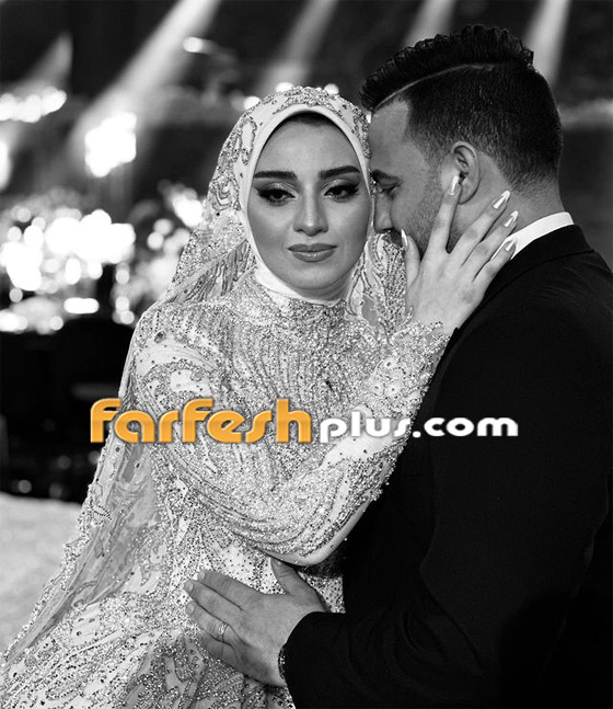 فرح طلخا الأسطوري: أحياه تامر حسني وحماقي ووائل جسار وكلف 12 مليون جنيه! صورة رقم 12