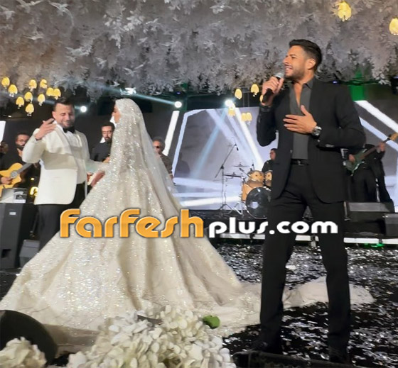 فرح طلخا الأسطوري: أحياه تامر حسني وحماقي ووائل جسار وكلف 12 مليون جنيه! صورة رقم 14