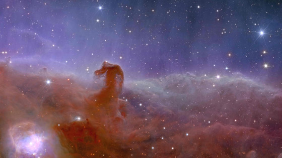 بينها رأس حصان.. تلسكوب فضائي أوروبي ينشر أولى صوره للكون صورة رقم 2