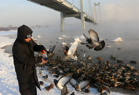 حتى 50 درجة مئوية تحت الصفر.. الصقيع غير المعهود في سيبيريا (صور) صورة رقم 9