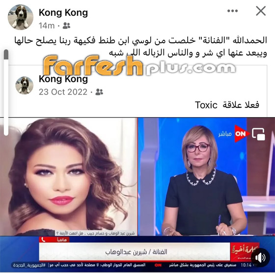 شقيق شيرين عبد الوهاب يحتفل بطلاقها من حسام حبيب: تخلصنا من لوسي ابن طنط فكيهة! صورة رقم 1