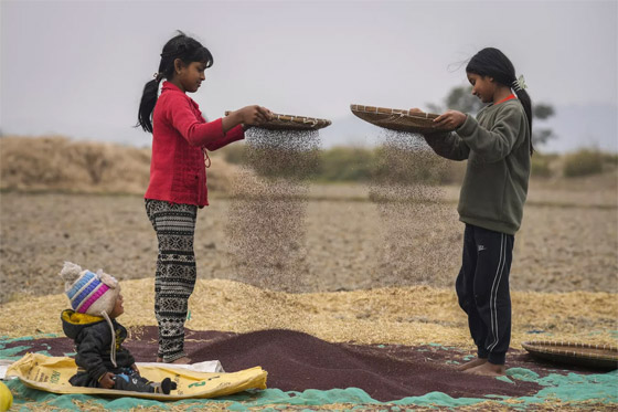 أبرز صور الأسبوع: إليكم أهم الأحداث المصورة من مختلف أنحاء العالم صورة رقم 15