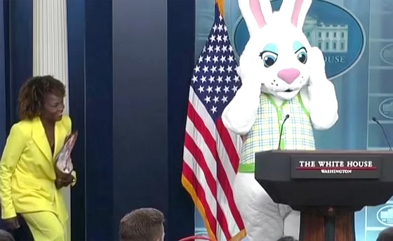 بالفيديو.. أرنب يقتحم مؤتمرا صحفيا للبيت الأبيض صورة رقم 1