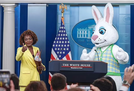 بالفيديو.. أرنب يقتحم مؤتمرا صحفيا للبيت الأبيض صورة رقم 2