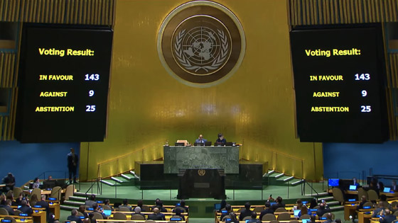 ما هي الدول الممتنعة والمعارضة لعضوية فلسطين بالأمم المتحدة؟ وماذا يعني هذا القرار؟ صورة رقم 1