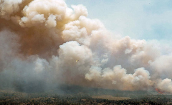 حرائق الغابات تُدهور جودة الهواء في الولايات المتحدة صورة رقم 1