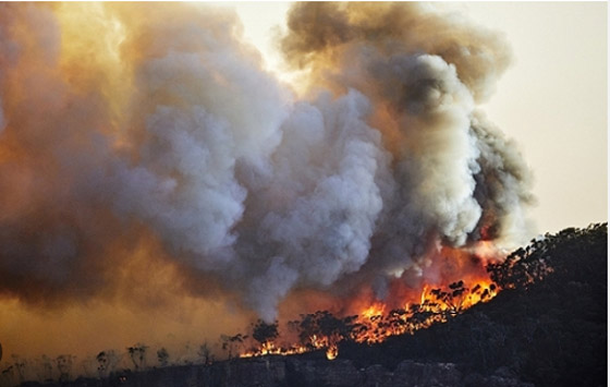 حرائق الغابات تُدهور جودة الهواء في الولايات المتحدة صورة رقم 3