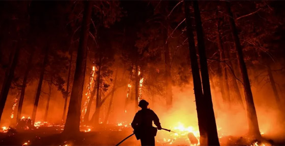 خلال عقد.. حرائق كاليفورنيا تسببت بوفاة 52 ألف شخص صورة رقم 1