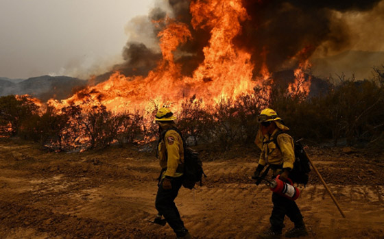 خلال عقد.. حرائق كاليفورنيا تسببت بوفاة 52 ألف شخص صورة رقم 6