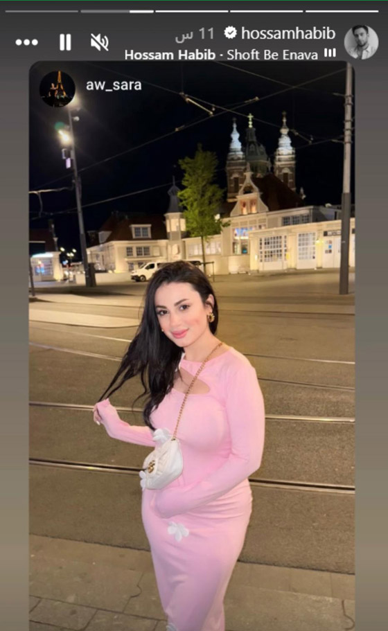 مفاجآت مثيرة حول حسام حبيب وسارة الأردنية: أحبها قبل شيرين وأعلن حبه ونشر صورتها ثم نفى! صورة رقم 1