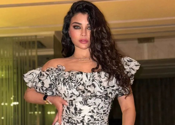 هيفاء وهبي تفاجئ الجمهور وتطلب من مصمم الأزياء ان يقصّ فستانها على المسرح صورة رقم 7