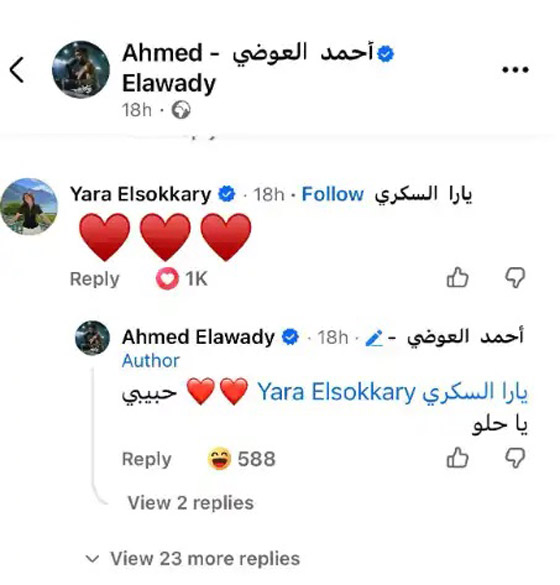 (حبيبي يا حلو): مغازلة علنية تفضح علاقة أحمد العوضي ويارا السكري وتثير الجدل صورة رقم 1 (حبيبي يا حلو): مغازلة علنية تفضح علاقة أحمد العوضي ويارا السكري وتثير الجدل صورة رقم 1
