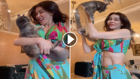 فيديو نادين الراسي ترقص بجنون وهي تحمل وتدلع قطتها وتُثير غضب الجمهور!