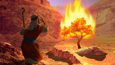 عالم الآثار وسيم السيسي يشكك ايضاً في ان الله كلم موسى في سيناء